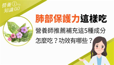 療肺草禁忌|療肺草評價如何、有用嗎？認識療肺草作用、功效與好。